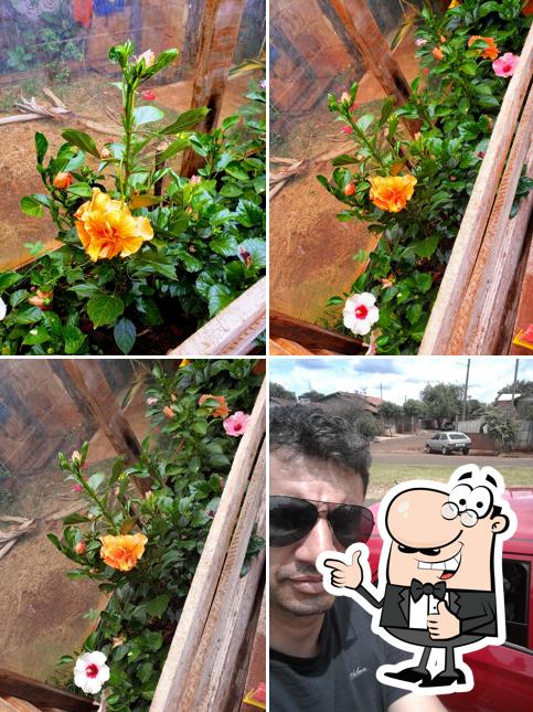 Bar Do Gatão