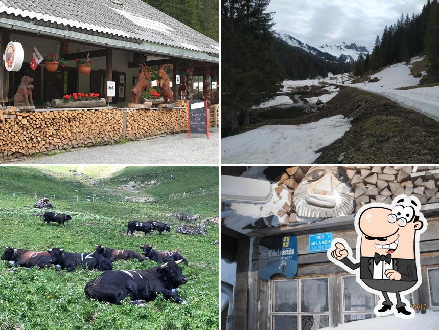 Guarda gli esterni di Cantine de They