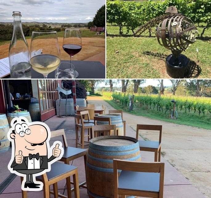 Lucinda Estate Winery / Cellar Door / Vineyard in Leongatha