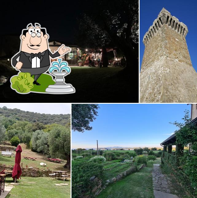 Puoi goderti l'aria fresca dal dehors di Torre di Baratti Bio Resort