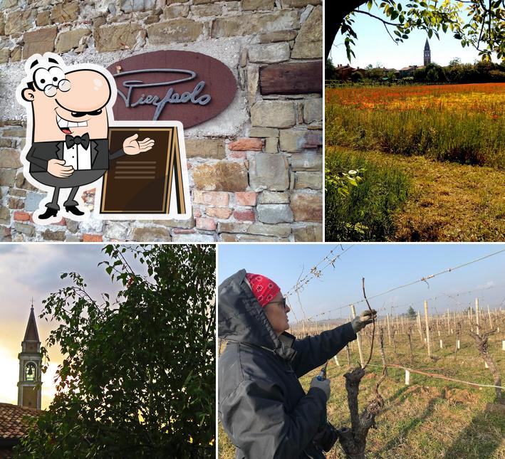 Guarda gli esterni di Azienda Agricola Pierpaolo Pecorari