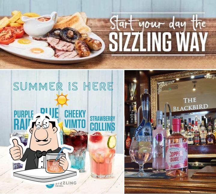 This is the photo displaying drink and food at The Blackbird Sizzling Pub & Grill