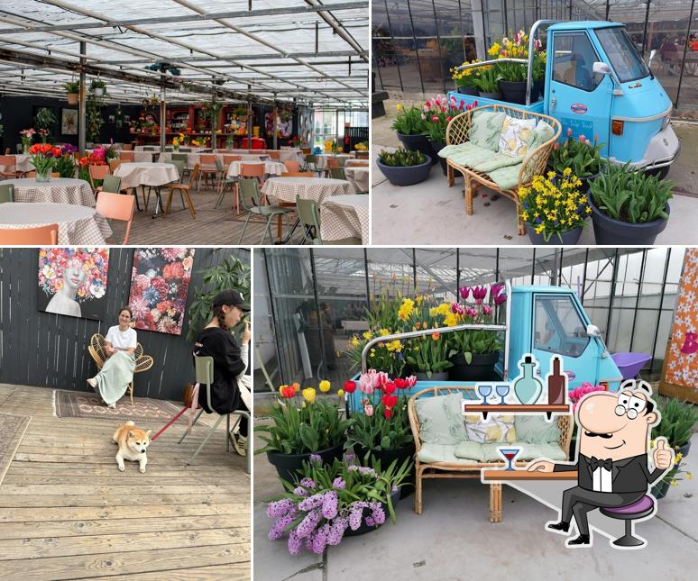 The Tulip Barn
