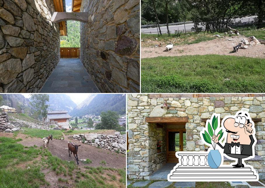 Agriturismo Alle Baite