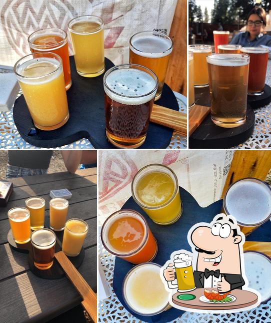 Bear Belly Brewing Company in Kings Beach Restaurant reviews