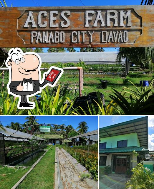 ACES Natural Farm restaurant, Panabo Restaurant reviews