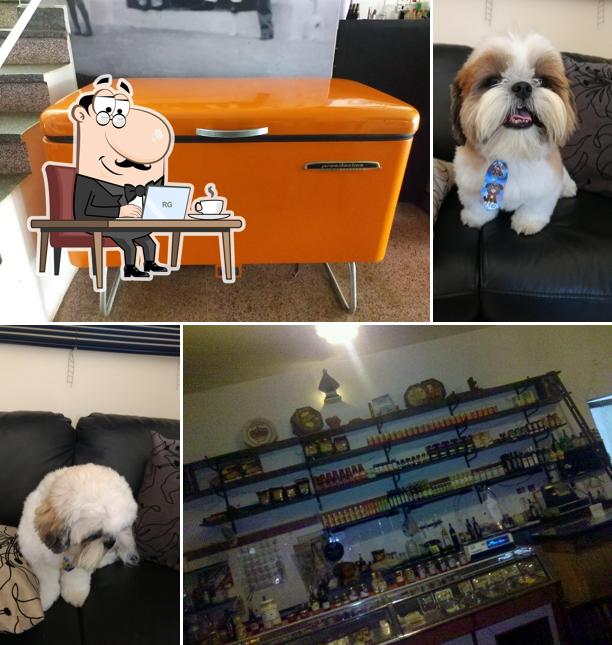 Veja imagens do interior do Casa Lima