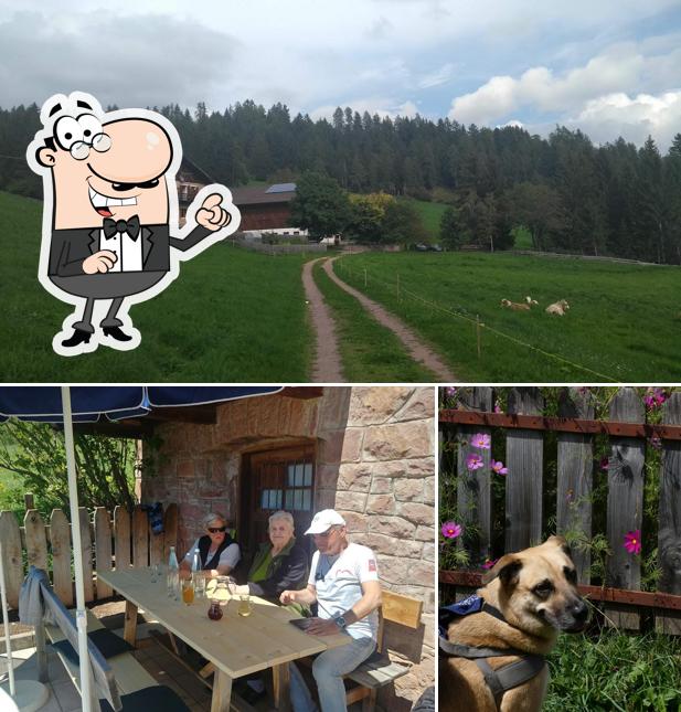 Tra le varie cose da Rohrerhof si possono trovare la interni e esterno