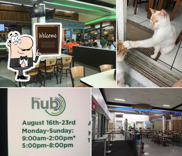 The Hub USF Dining Services in Tampa Restaurant reviews