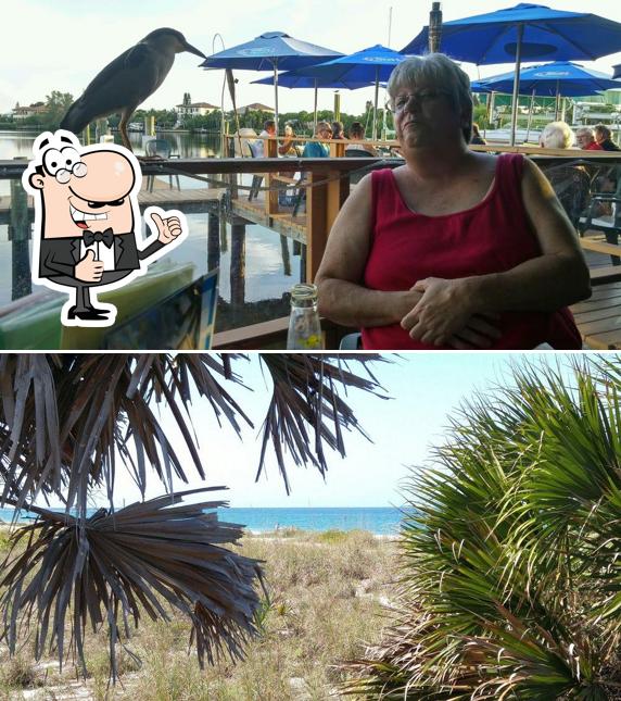 Casey Key Fish House in Osprey Restaurant menu and reviews