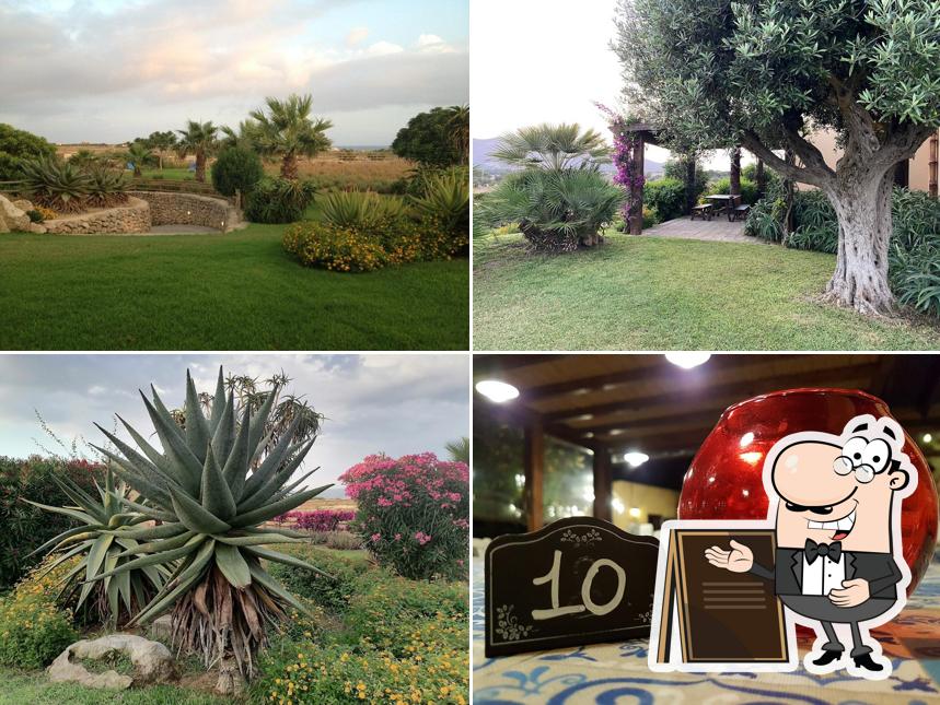 Guarda gli esterni di Il Giardino delle Aloe Favignana