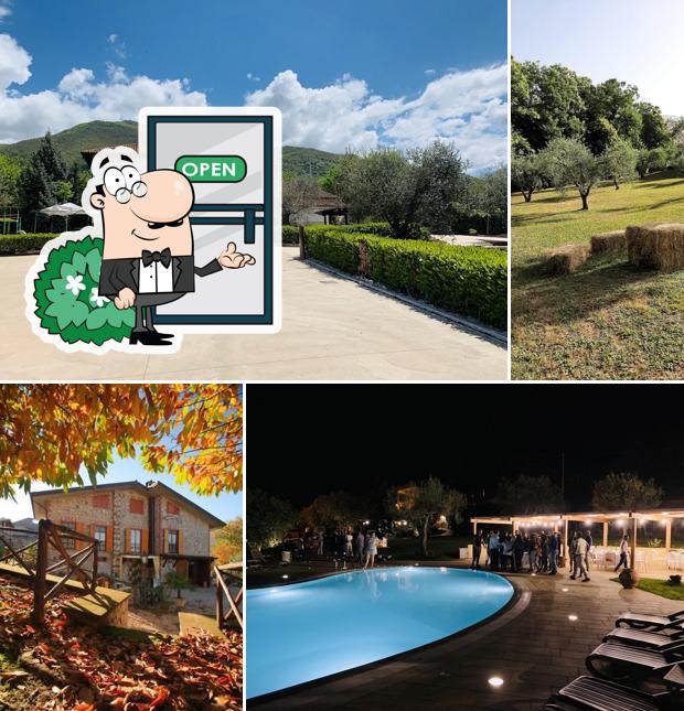 Agriturismo Il Castagneto