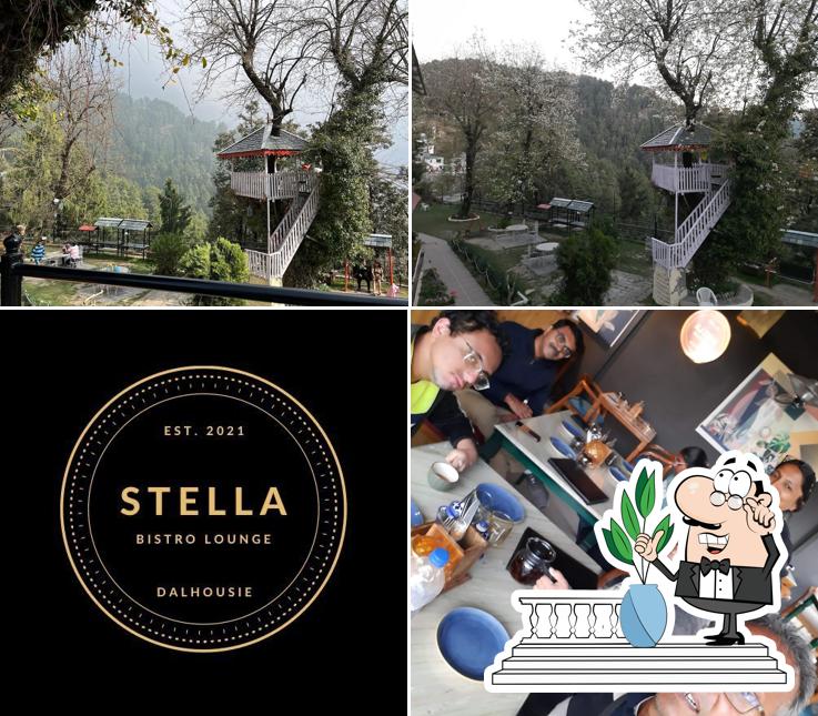The exterior of Stella Lounge Dalhousie