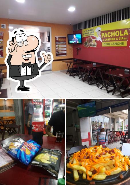 Pachola distribuidora