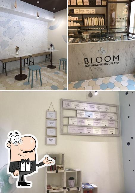 Gli interni di Gelateria Bloom - Piazza Mazzini (MO)