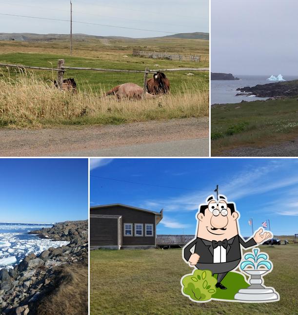 Little Dairy King, Cape Shore Rd in Bonavista Restaurant reviews