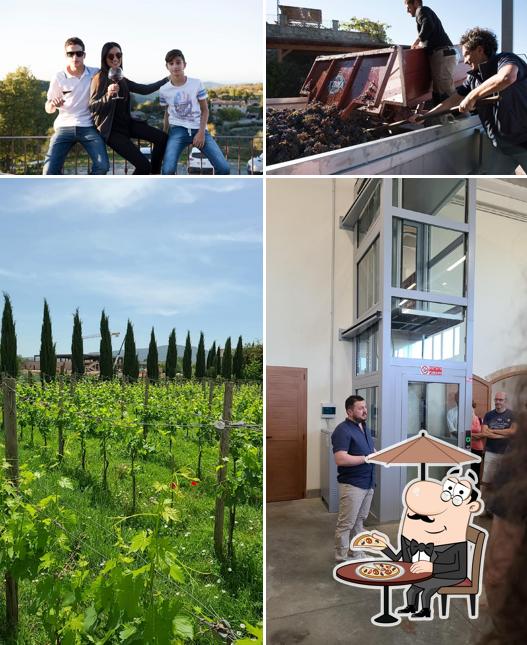 AZIENDA VITIVINICOLA POGGIO AI LAGHI