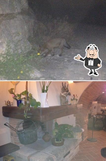 Agriturismo Scannano