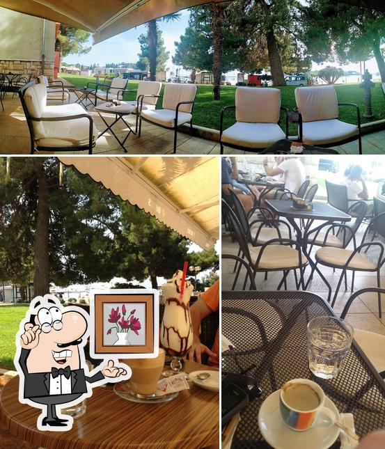 Dai un'occhiata agli interni di Cafe Habitat