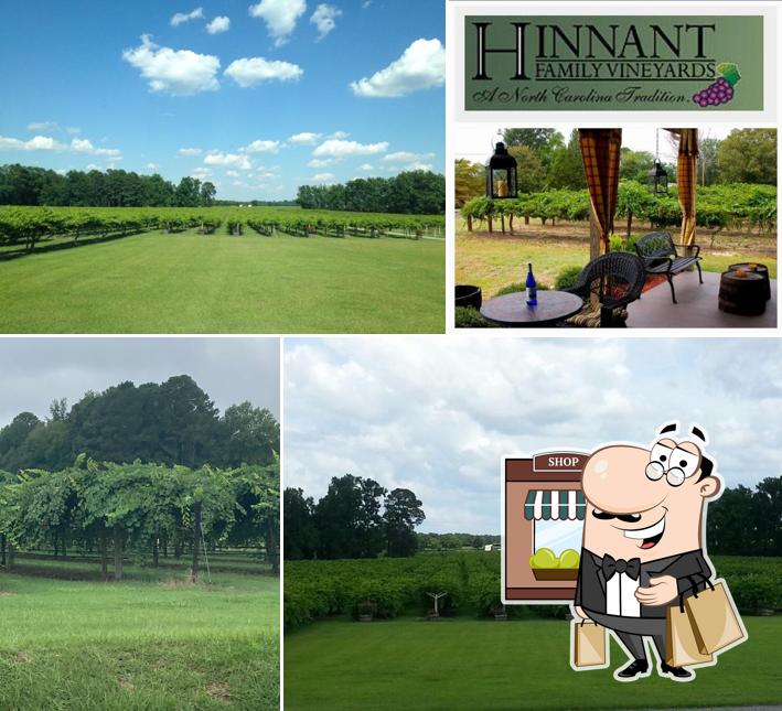 Hinnant Family Vineyards in Pine Level Restaurant reviews