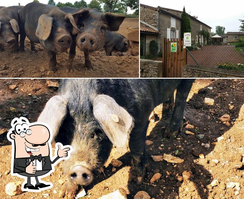 Voir cette photo de Ferme Auberge du Puy d'Anché