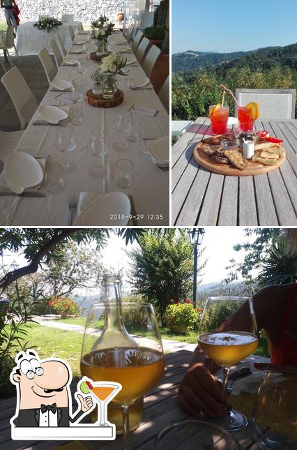 La foto di bevanda e tavolo da pranzo da Agriturismo Colline Di Rossoli