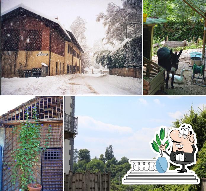 Agriturismo I Gelsi