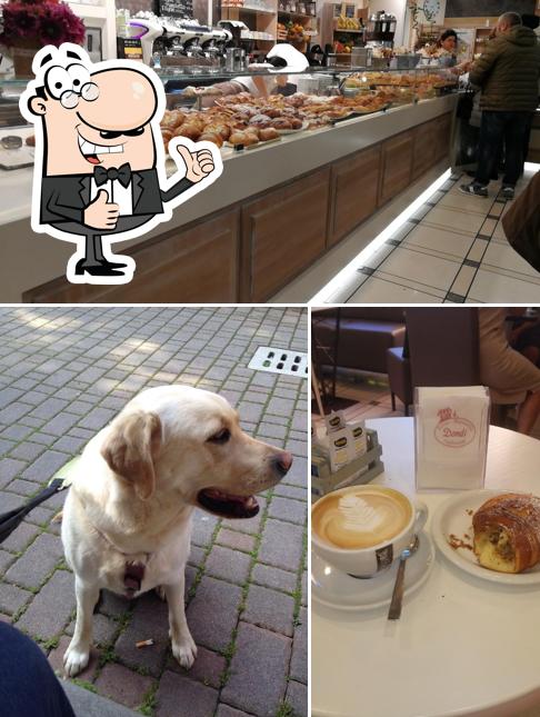 Forno Pasticceria Dondi, Casalfiumanese - Restaurant reviews