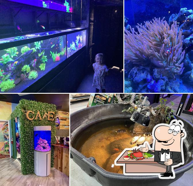 Floating Sea Aquatics in Jacksonville Restaurant reviews