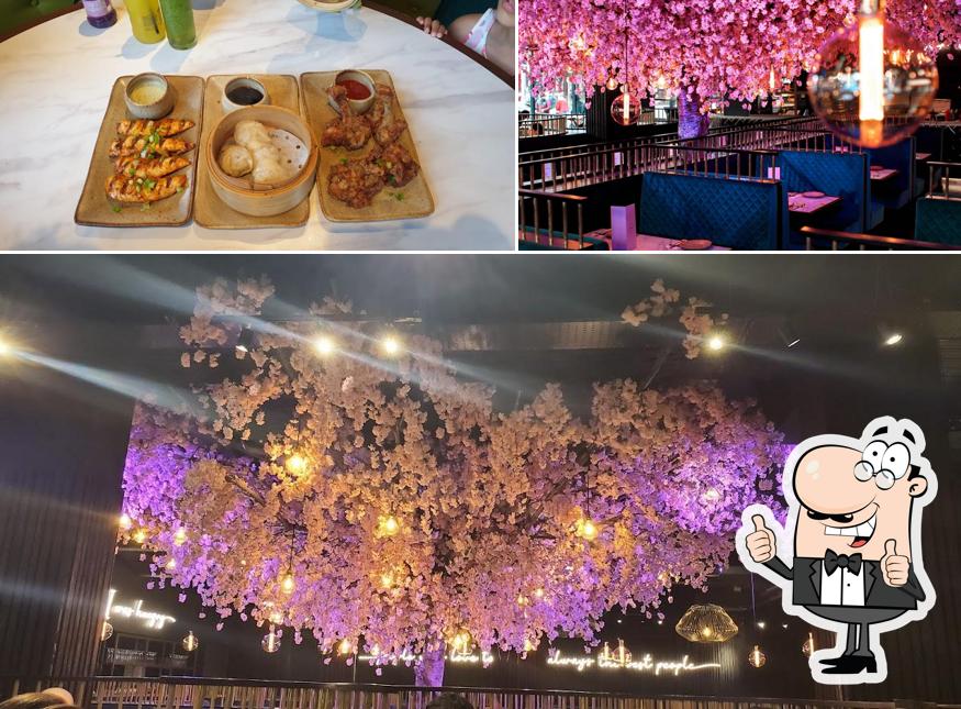 Oodles N’Oodles Manchester in Manchester Restaurant reviews