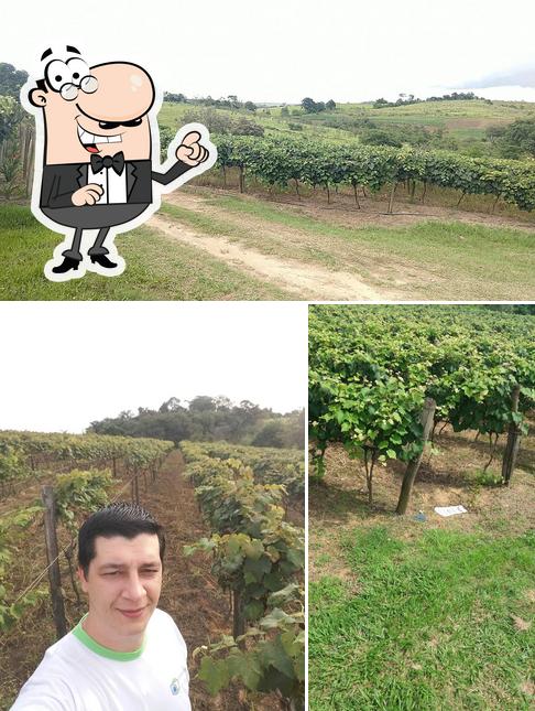 O exterior do Uvas e Vinhos Piceli