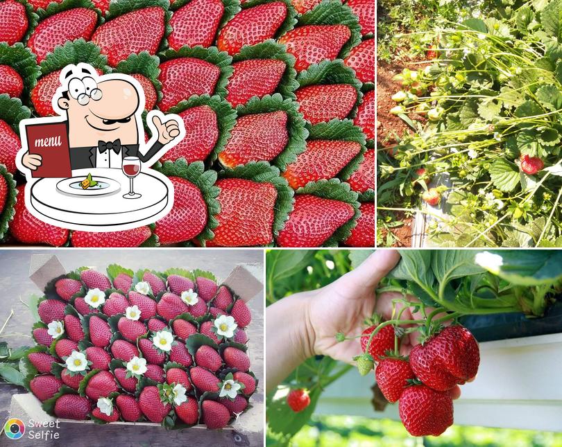 Reeda Dream Farms