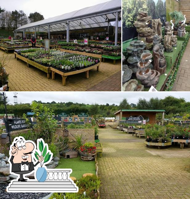 Dobbies Garden Centre Shepton Mallet in Shepton Mallet Restaurant reviews