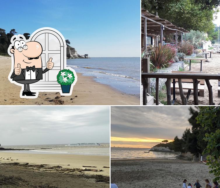 Jetez un coup d’œil à quoi ressemble Bikki Beach Meschers sur Gironde à l'extérieur