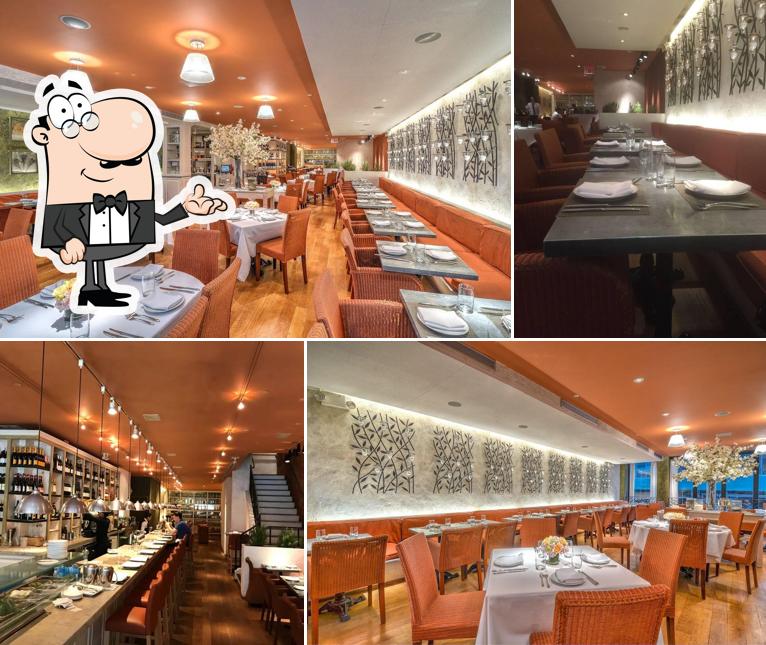 Check out how FIG & OLIVE looks inside