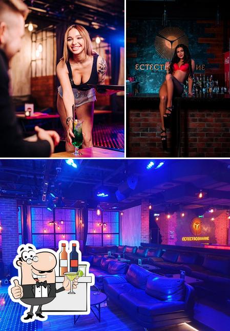 Estas son las fotografías que hay de barra de bar y interior en Estestvoznanie