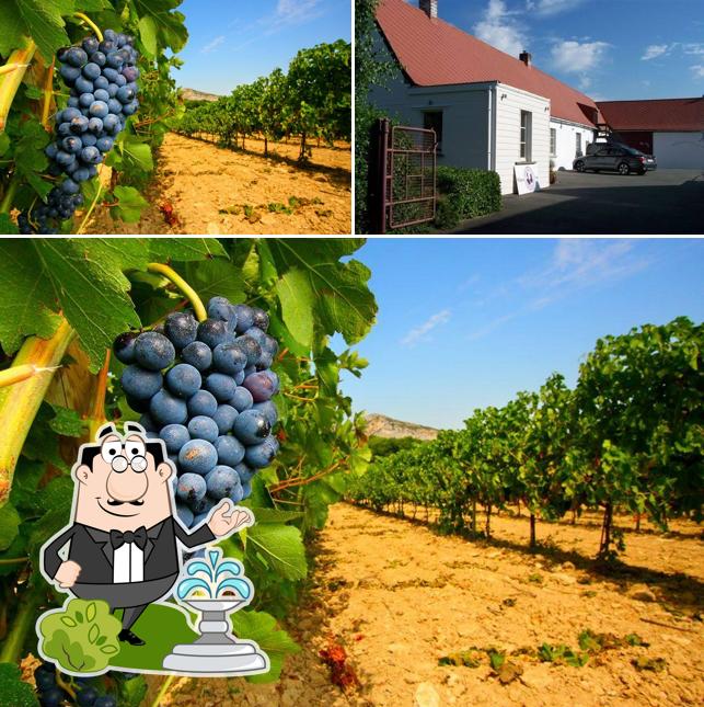 La grange du sommelier - Delfosse Pascal