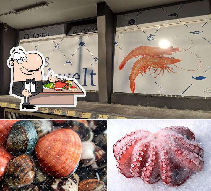 Try out seafood at Elmas Fischwelt GmbH