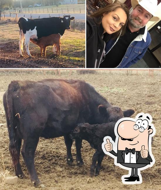 Riddle Farms, Waldron