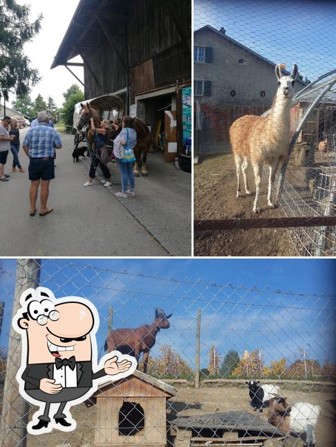 Vedi questa foto di La Ferme Aux Cretegny