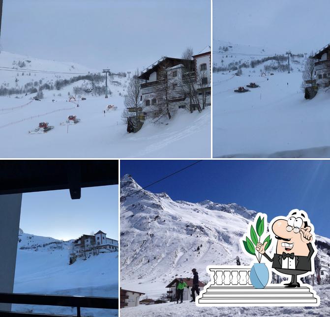 Jetez un coup d’œil à quoi ressemble Panorama Tenne Hotel Almhof à l'extérieur