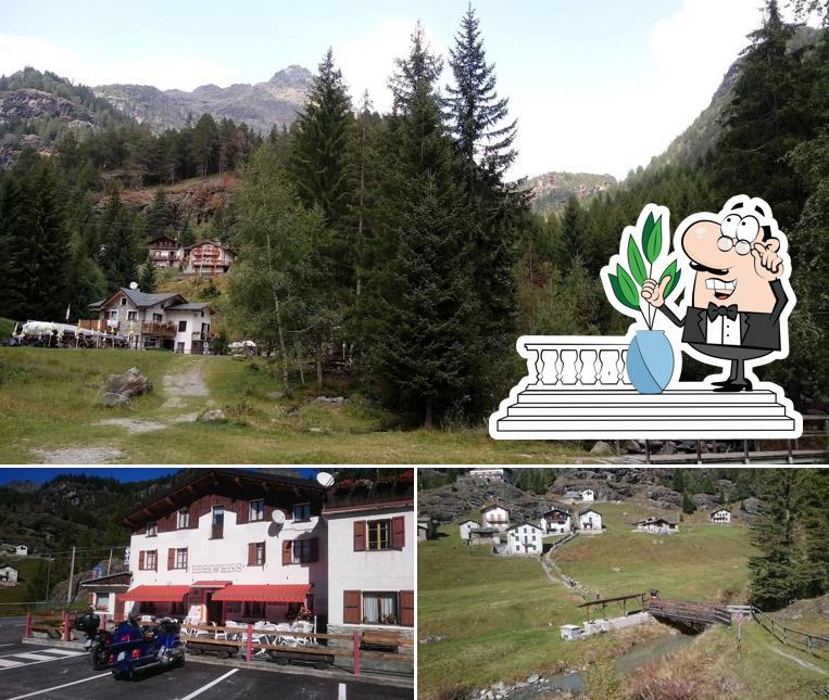 Guarda gli esterni di Albergo Edelweiss