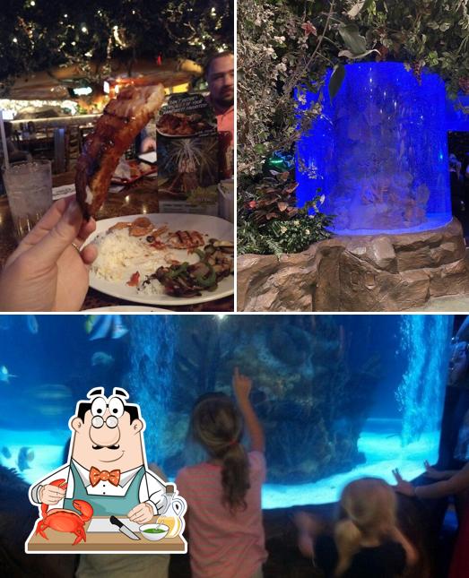 Rainforest Cafe in Tempe Restaurant menu and reviews