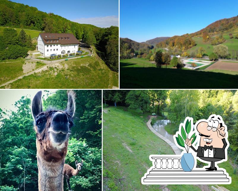 Guarda gli esterni di Restaurant Waldgrotte Buus