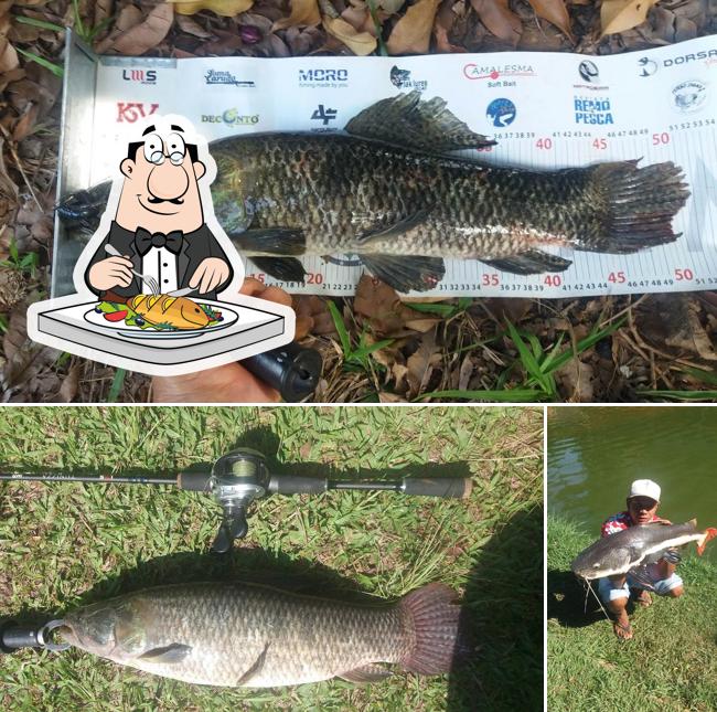 Pesqueiro Jequitibá ofrece un menú para los amantes del pescado
