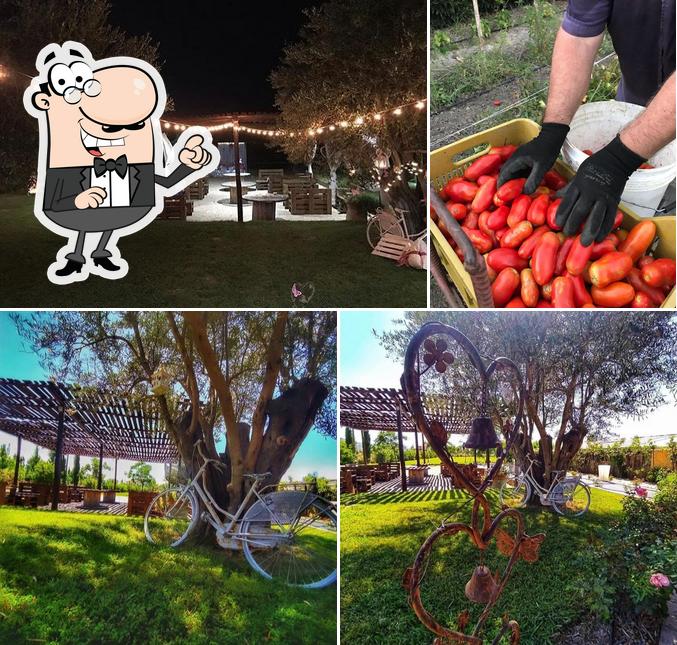 Gli esterni di Azienda Agrituristica Terre di Paestum