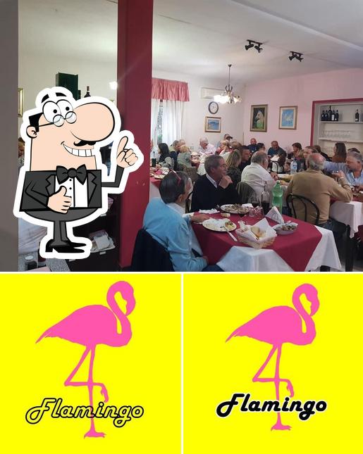 Vedi la immagine di Il Flamingo