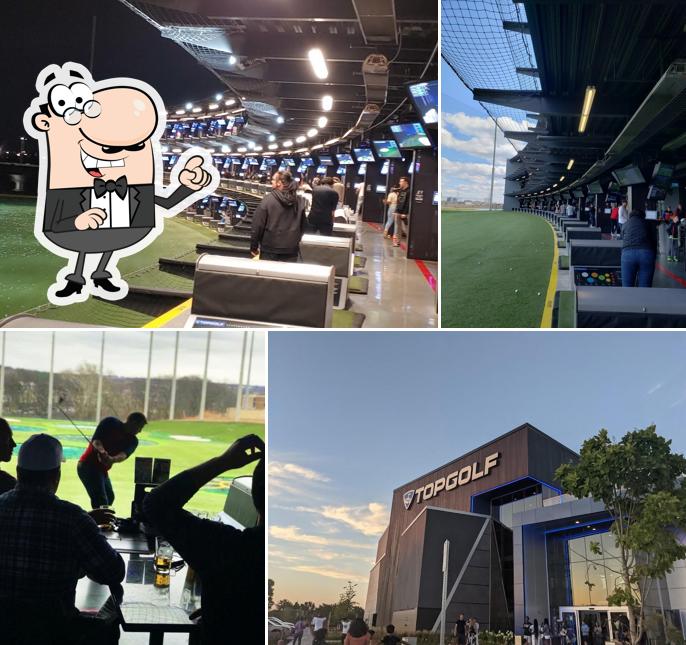 Topgolf, 2050 Progress Pkwy in Schaumburg Restaurant reviews