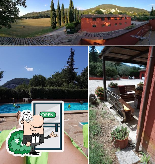 Goditi la vista dagli esterni di Azienda Agrituristica Biologica Collelignani