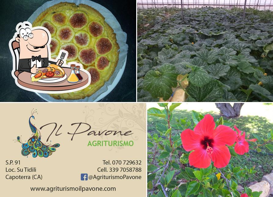 Try out pizza at Agriturismo Il Pavone